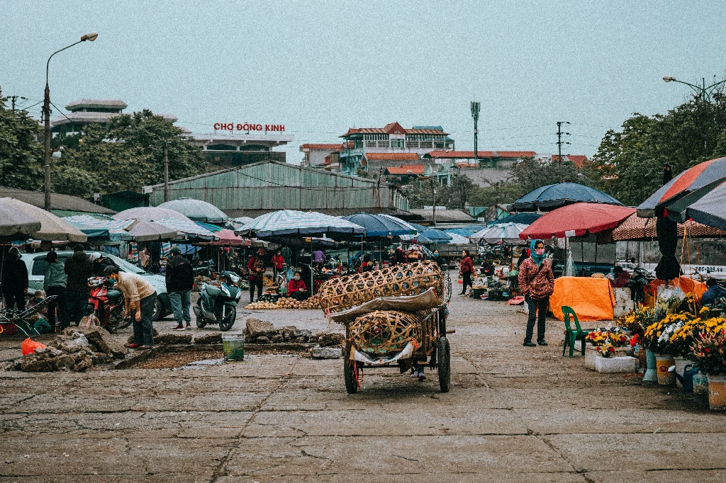 Mẹo sắp xếp đồ đạc và cân hành lý ký gửi tại nhà