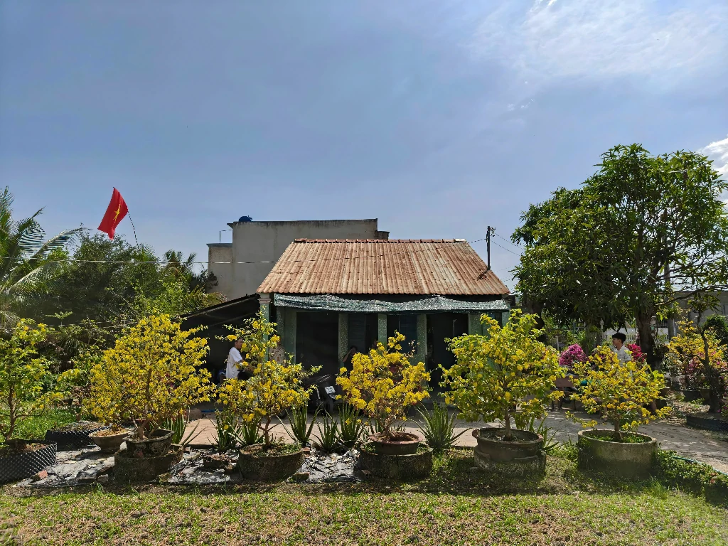Lỗi không có mạng khi hạ cánh tại sân bay quốc tế