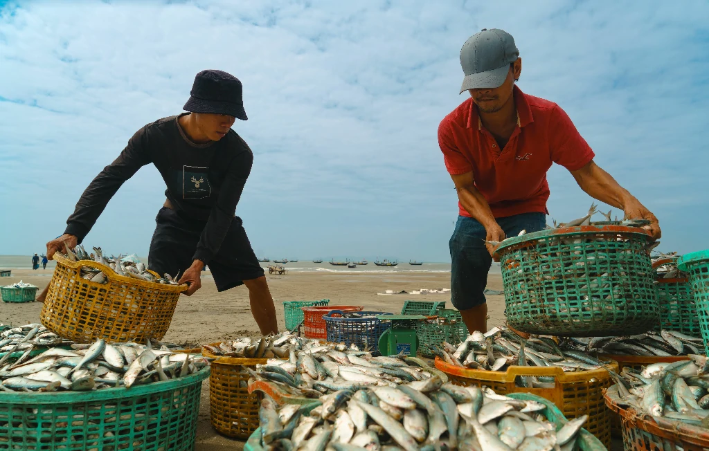 Phí chuyển vùng quốc tế Wintel mới nhất