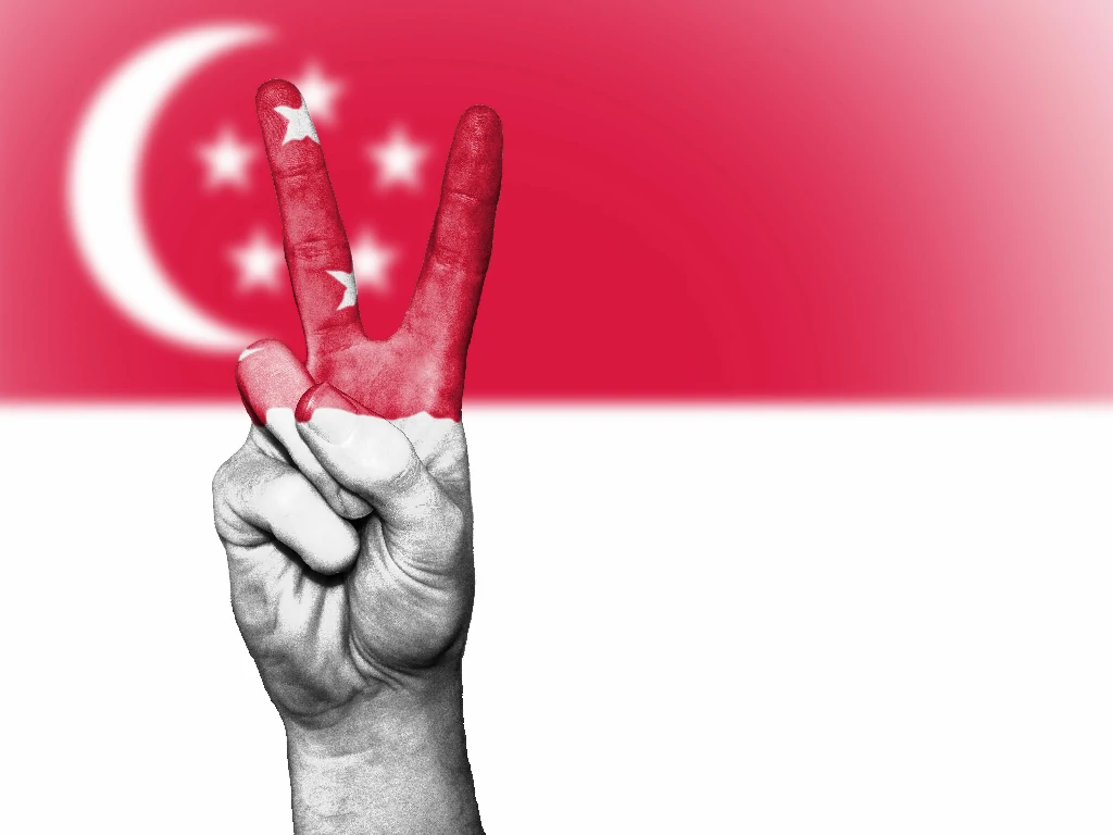Quy trình thông quan tự động tại sân bay quốc tế Changi Singapore