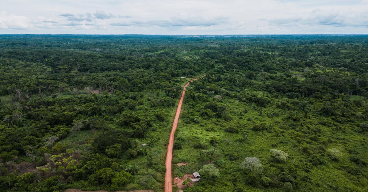 Cảnh quan Cameroon