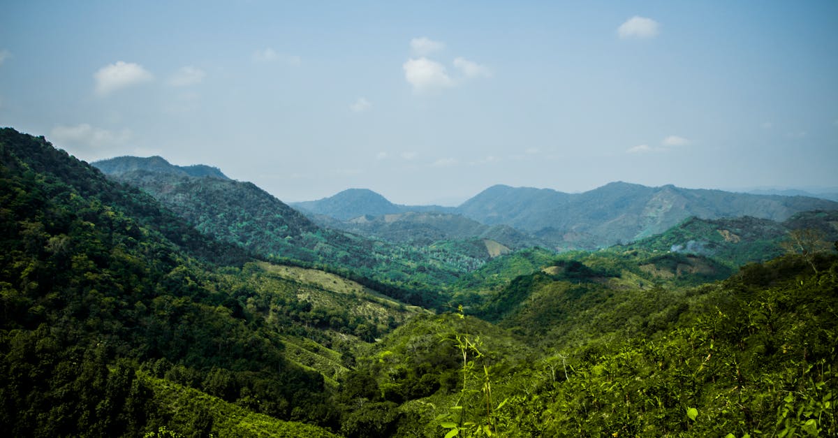 Cảnh quan Colombia