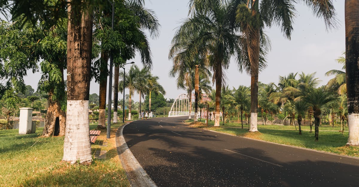 Cảnh quan Guinea-Bissau