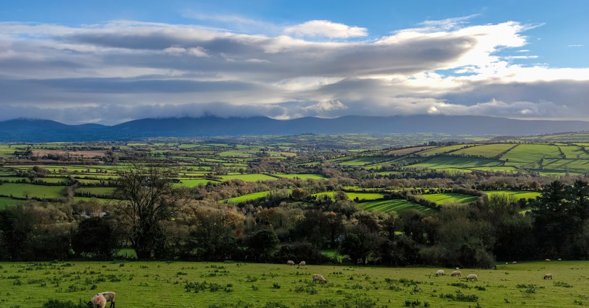Cảnh quan Ireland