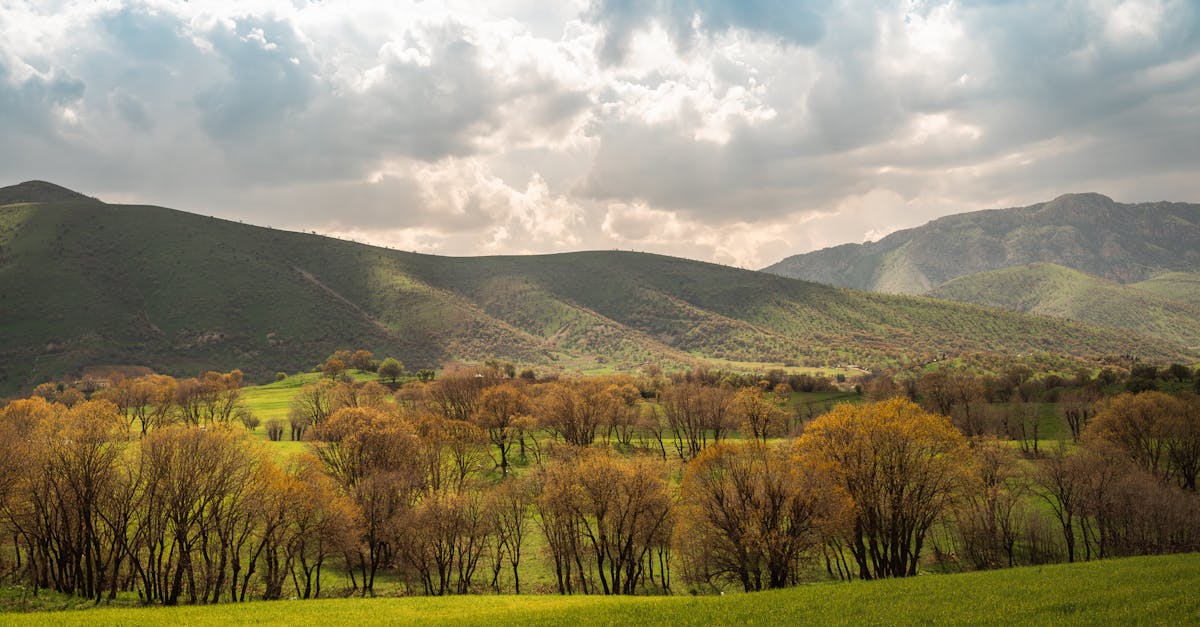 Cảnh quan Iraq