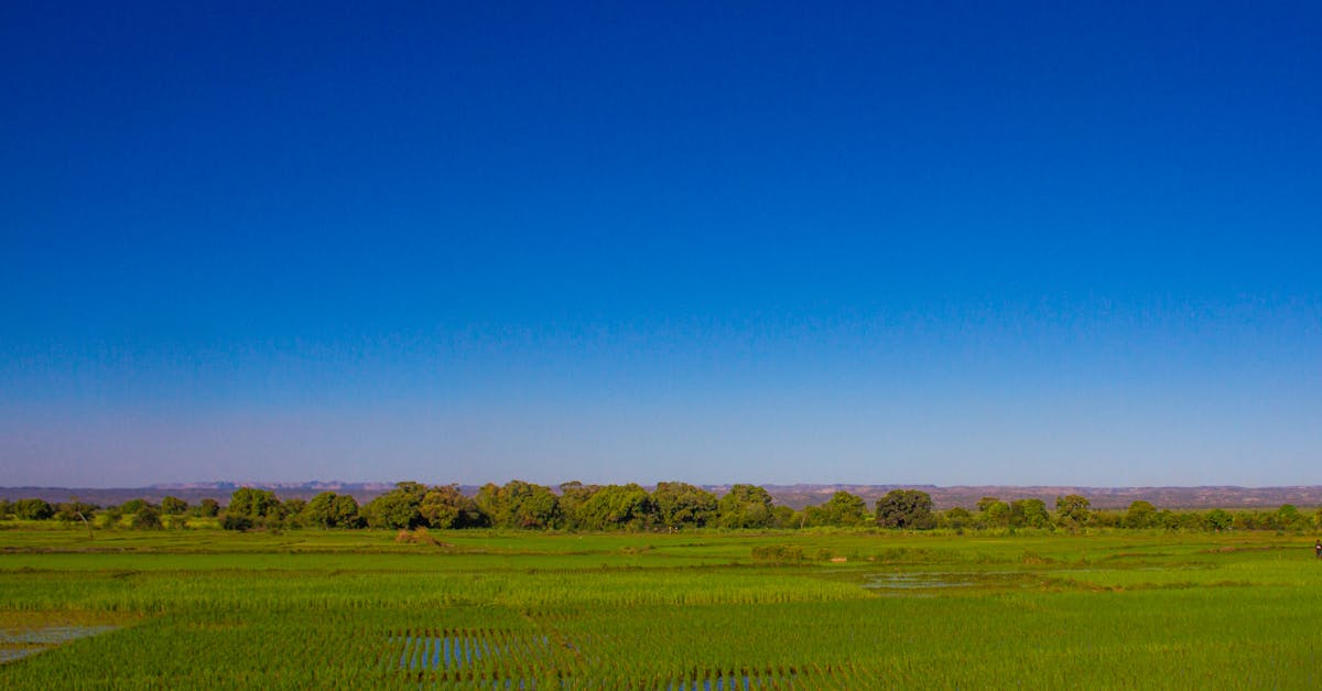 Cảnh quan Madagascar
