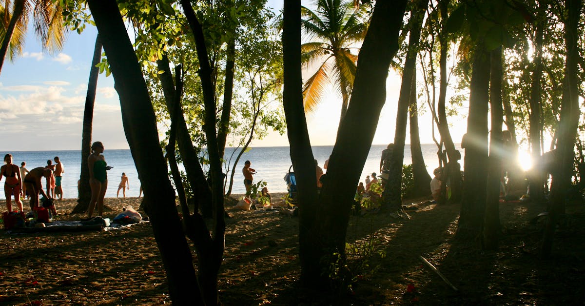 Cảnh quan Martinique