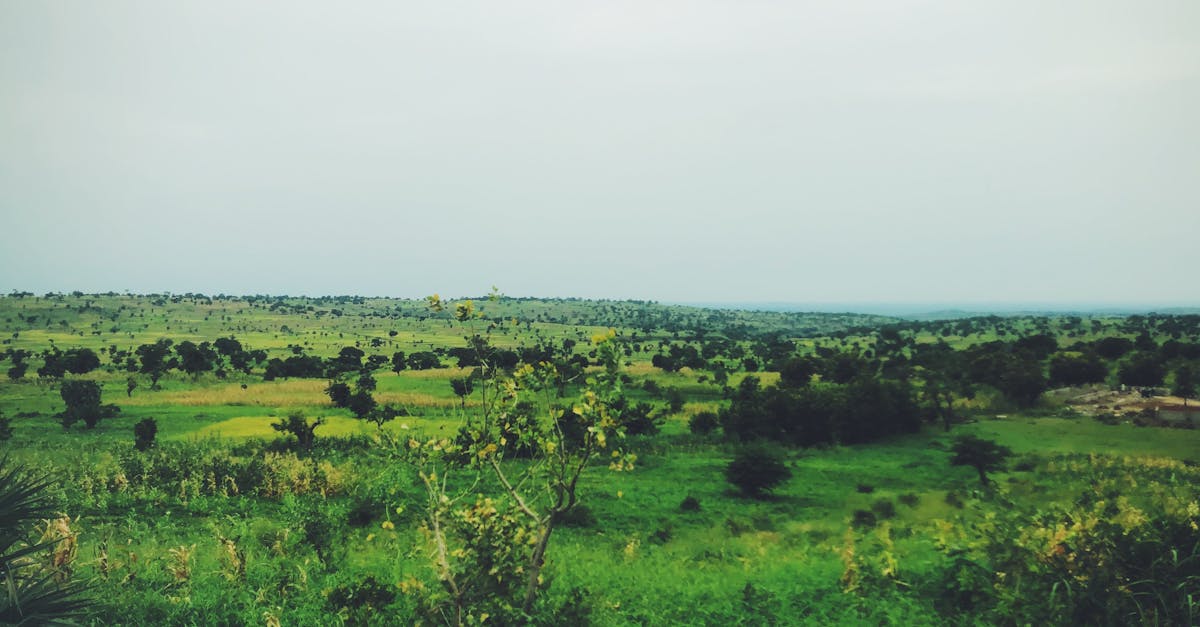 Cảnh quan Nigeria