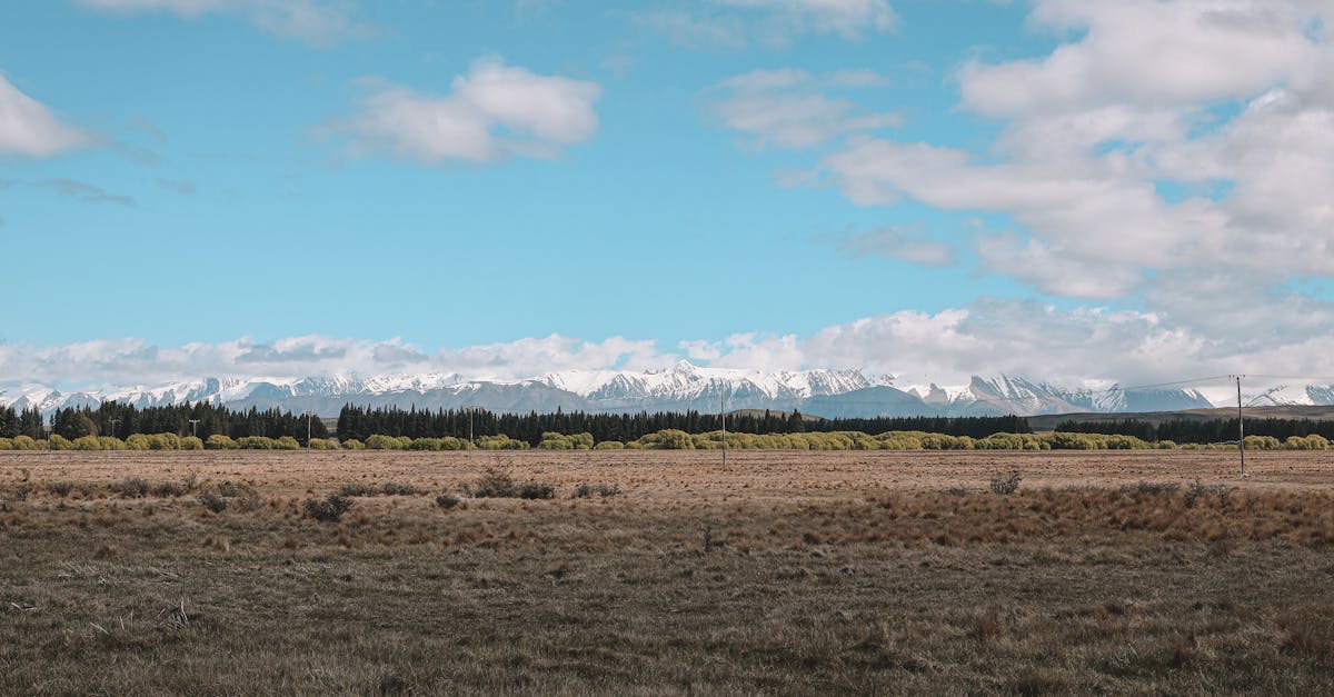 Cảnh quan New Zealand
