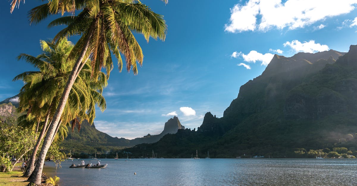 Cảnh quan Polynesia thuộc Pháp