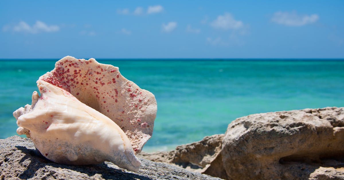 Cảnh quan Quần đảo Turks và Caicos