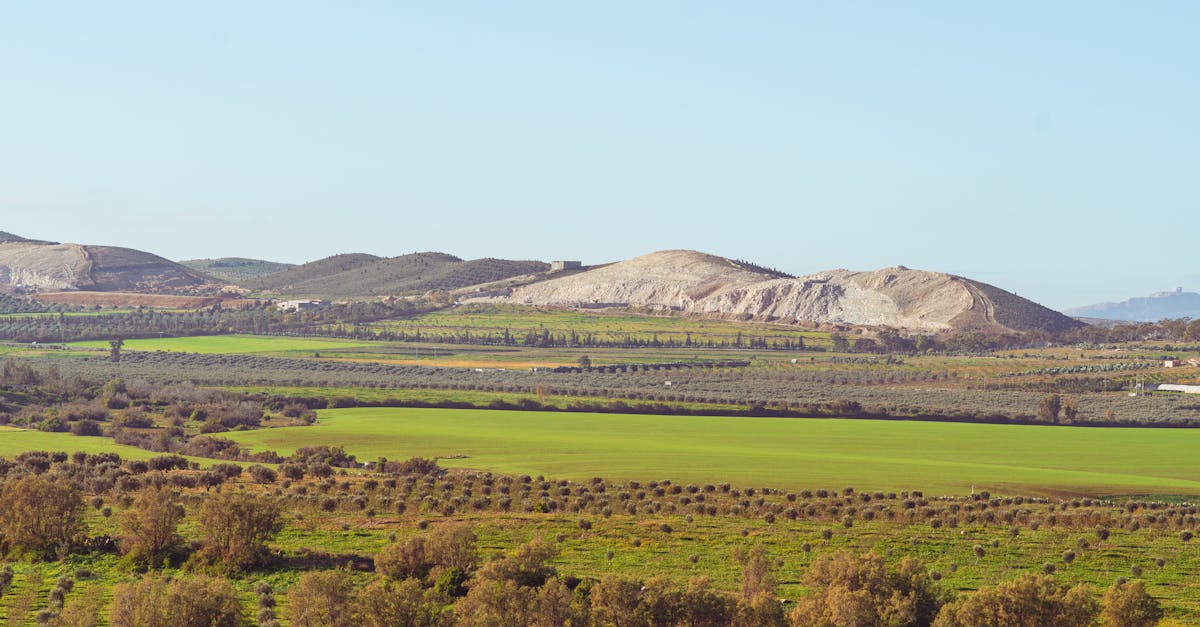Cảnh quan Tunisia