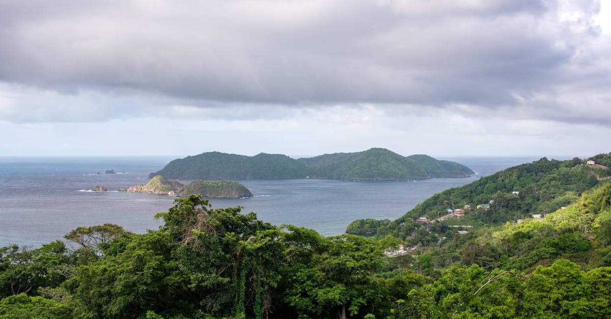 Cảnh quan Trinidad và Tobago