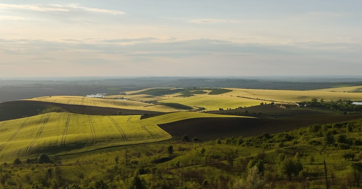 Cảnh quan Ukraine