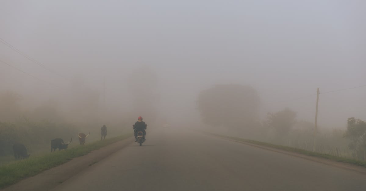 Cảnh quan Uganda