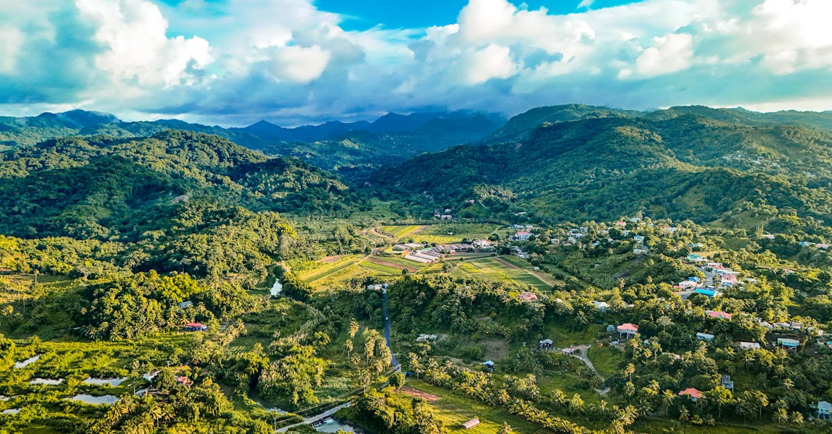 Cảnh quan Saint Vincent và Grenadines