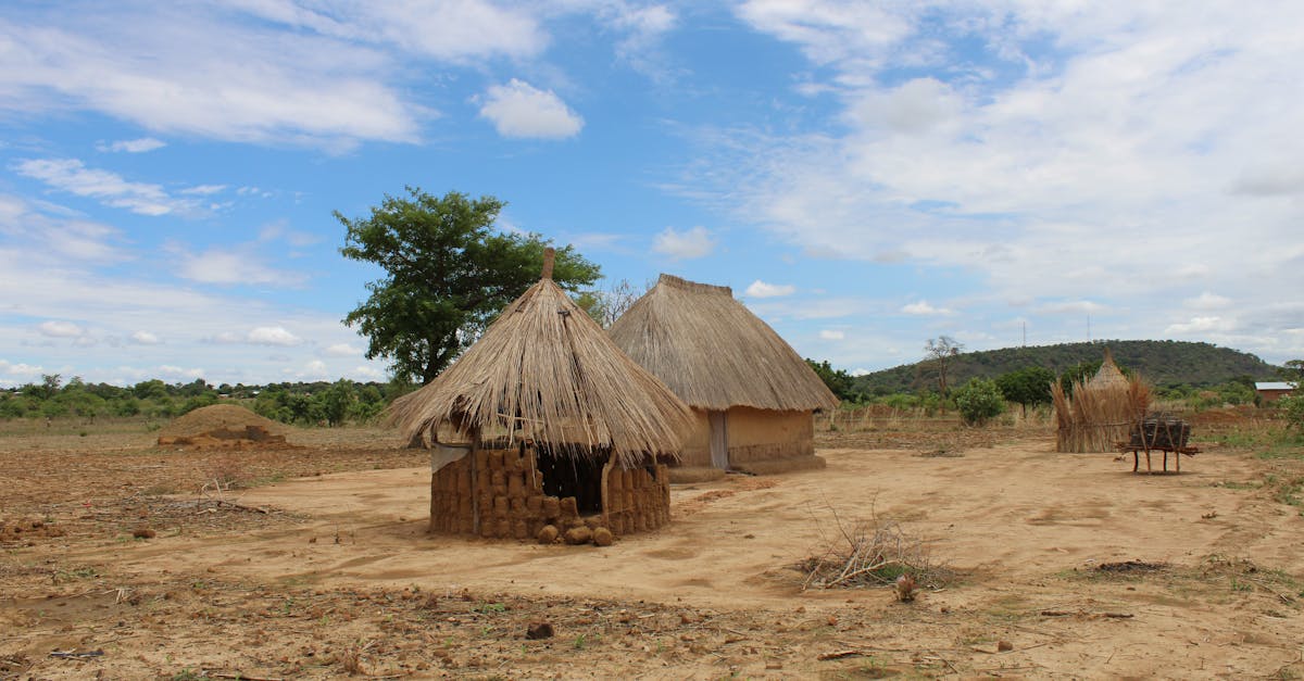 Cảnh quan Zambia